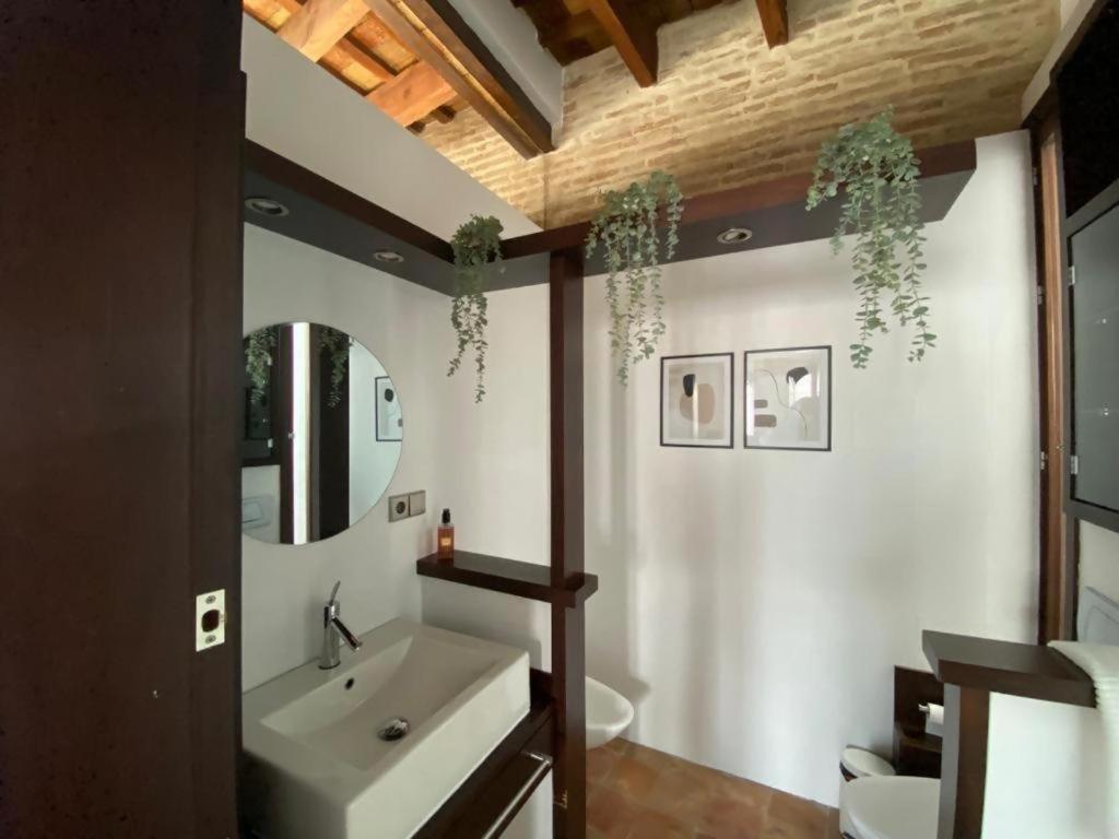 Hostfy Centro Puerta Osario Daire Sevilla Dış mekan fotoğraf